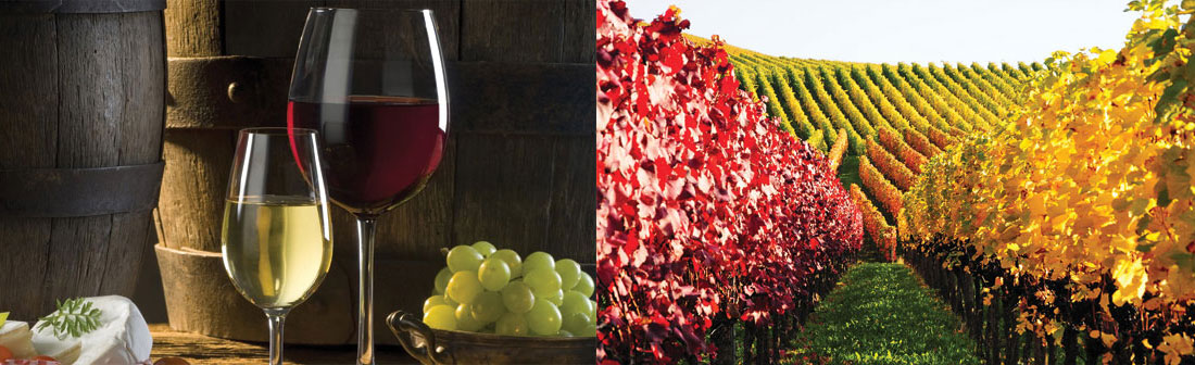 Wyndham Garden Niagara Falls Fallsview - Half Day Wine Tour of Niagara-on-the-Lake